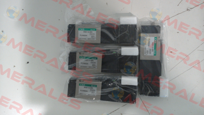 4KB119-00-BRI-FL548504-DC24V Ckd