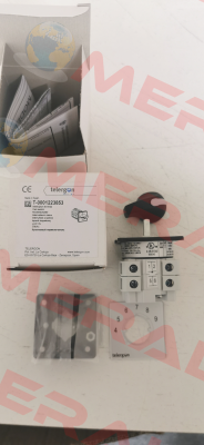 T-0001223853 Telergon