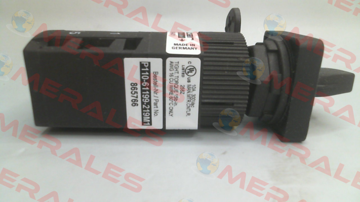 P110-61199-219M1 Salzer