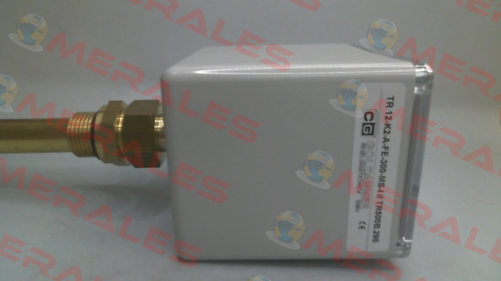 TR 12-K2-A-FE-300-MS-I Goldammer