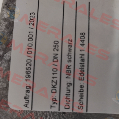 DKZ110 DN 250 WX 2000 Warex