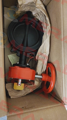 59300W060WS Tyco Fire