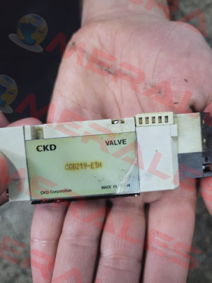 4GB219R-00-E3H-3 Ckd