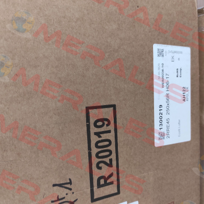 2RRE45 250x56R H06-17 Ecofit