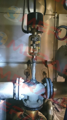 373 E02 Baelz
