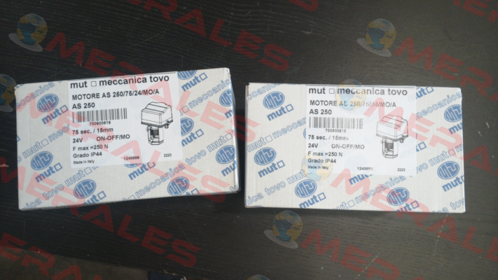 7.006.00619 Mut Meccanica Tovo SpA