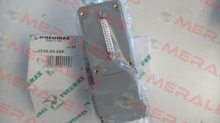 2530.03.25P Pneumax