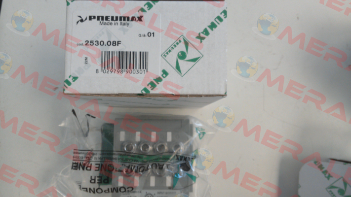 2530.08F Pneumax