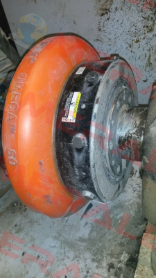 OMEGA-Elastikelementsatz E-80-M Rexnord