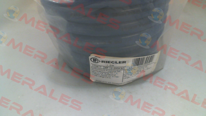 113417 / SP 12-250KSD Riegler