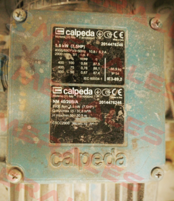 16006080000  Calpeda