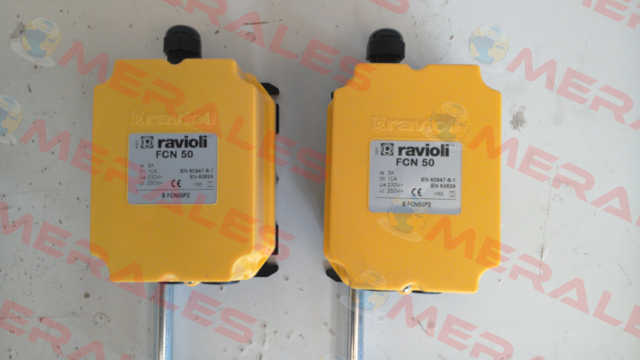 BFCN50 P2 Ravioli