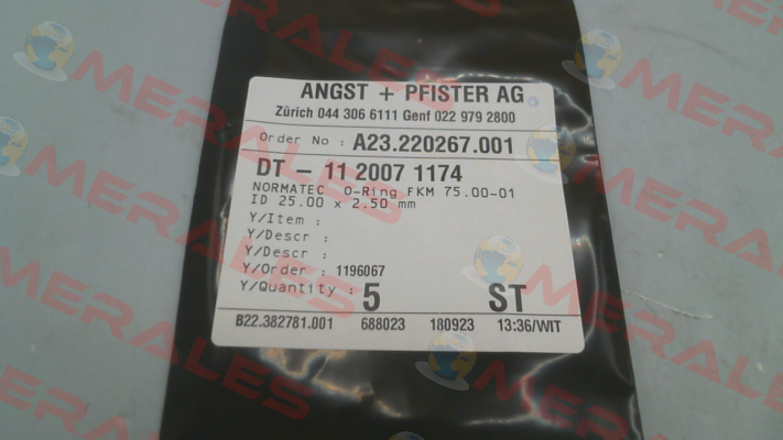 1120071174 Angst-Pfister