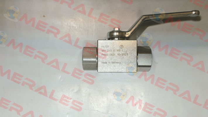 BKH G1/2 13 1113 1 PN500 Pister