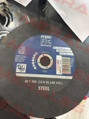 66300100 / 80 T 300-2,0 H SG LAB STEEL/32,0 Pferd